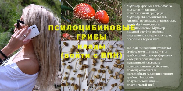 марки lsd Михайловка