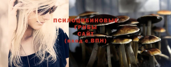мдма Медногорск