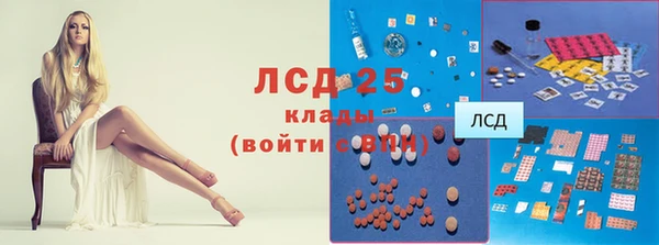 прущие крисы Медвежьегорск