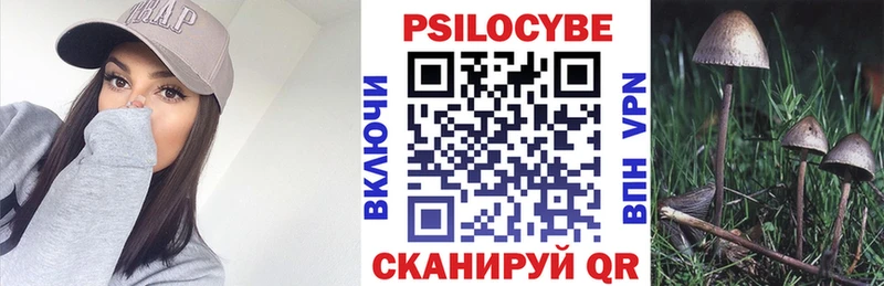 Псилоцибиновые грибы ЛСД  Котельнич 