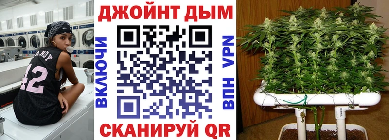 Конопля SATIVA & INDICA  Котельнич 